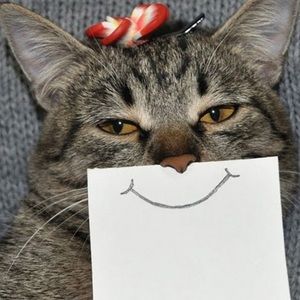 Meet your Posher, Danay